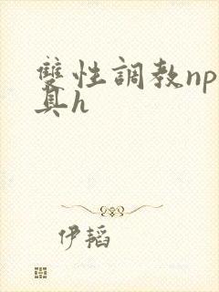 双性调教np道具h