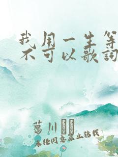 我用一生等你可不可以歌词歌曲