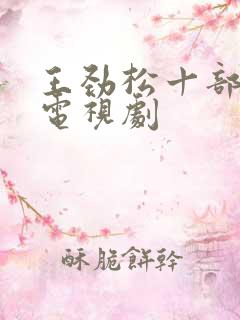 王劲松十部必看电视剧