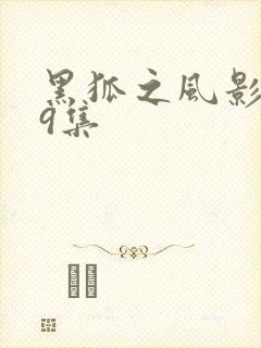 黑狐之风影第29集