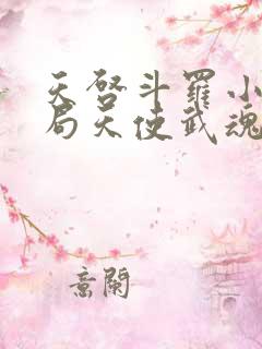 天启斗罗小说开局天使武魂,被唐昊追杀