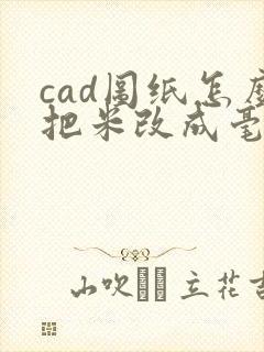 cad图纸怎么把米改成毫米