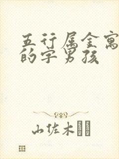 五行属金寓意好的字男孩