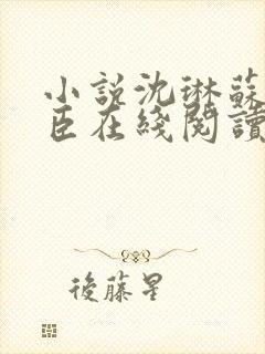 小说沈琳苏顾晋臣在线阅读