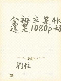 分辨率是4k好还是1080p好