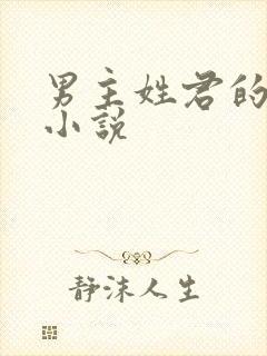 男主姓君的现代小说