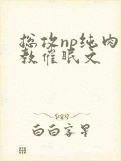 总攻np纯肉调教催眠文