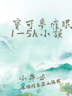 宝可梦催眠系列1—5h小说