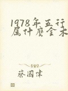 1978年五行属什么金木水火土