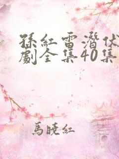 孙红雷潜伏电视剧全集40集免费