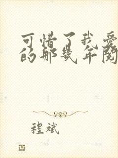 可惜了我爱着你的那几年阅读全文