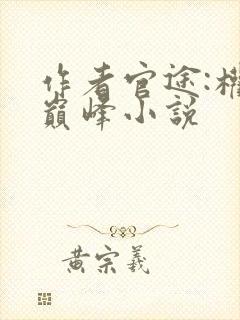 作者官途:权力巅峰小说