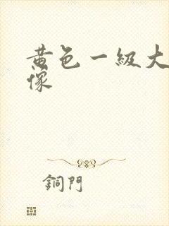 黄色一级大片录像