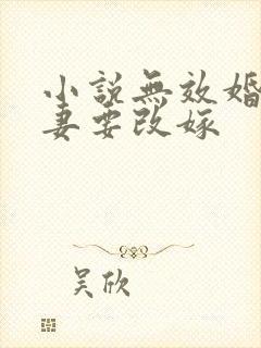 小说无效婚约前妻要改嫁