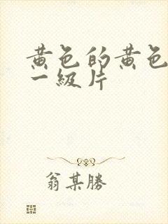 黄色的黄色录像一级片