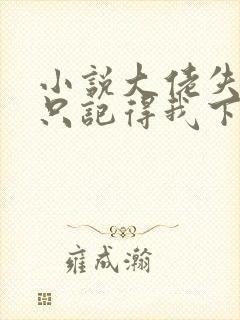 小说大佬失忆后只记得我下载