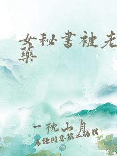 女秘书被老板下药