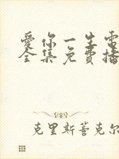 爱你一生电视剧全集免费播放高清