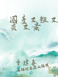 国产又粗又猛又爽 又黄