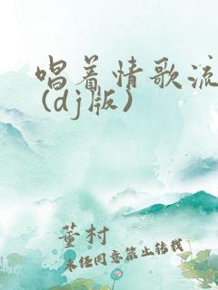 唱着情歌流着泪 (dj版)