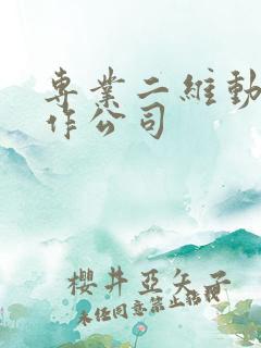 专业二维动画制作公司