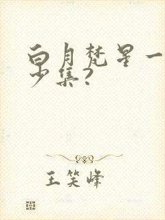 白月梵星一共多少集?