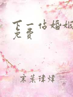 下一站婚姻全集免费