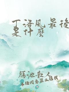 丁洛风最后结局是什么
