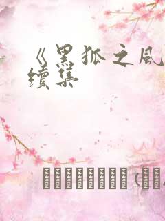 《黑狐之风影》续集