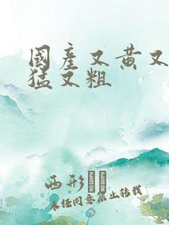 国产又黄又爽又猛又粗