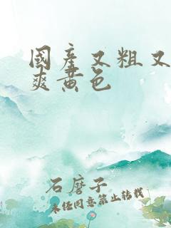 国产又粗又猛又爽黄色