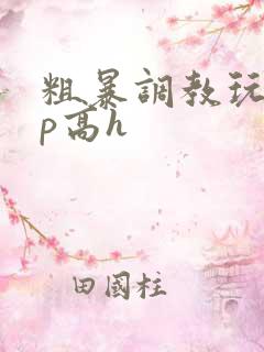 粗暴调教玩弄np高h