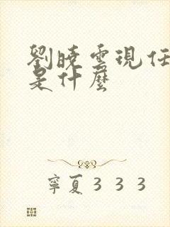 刘晓云现任职务是什么