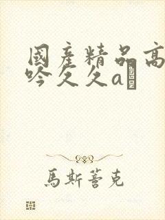 国产精品高潮呻吟久久aγ