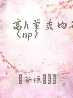 高h荤爽肉欲文〈np〉