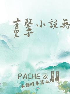 有声小说无敌六皇子