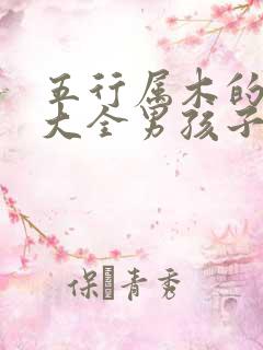 五行属木的名字大全男孩子