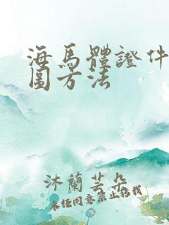 海马体证件照修图方法