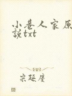 小巷人家原著小说txt