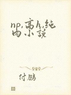 np,高h,纯肉小说