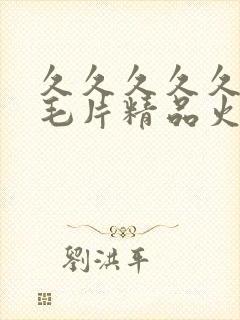 久久久久久久久毛片精品火炮