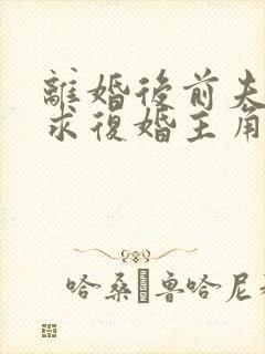 离婚后前夫哭着求复婚主角