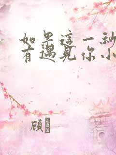 如果这一秒我没有遇见你小说