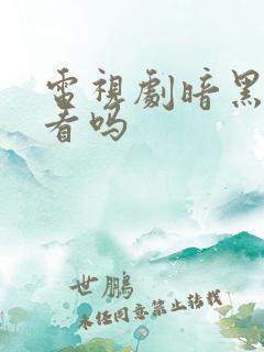 电视剧暗黑者好看吗