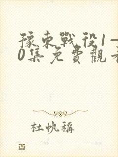 豫东战役1—40集免费观看