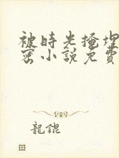 被时光掩埋的秘密小说免费阅读