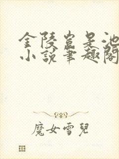 金陵岂是池中物小说笔趣阁