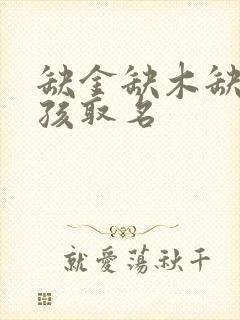 缺金缺木缺水男孩取名