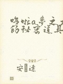 哆啦a梦之大雄的秘密道具博物馆