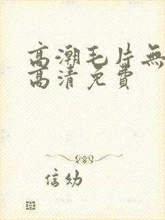 高潮毛片无遮挡高清免费